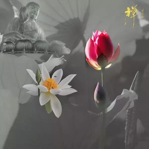 有信任心，才能用人