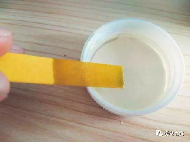 改變花盆土壤酸鹼度的小方法,簡單又實用!