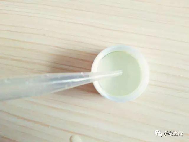 改變花盆土壤酸鹼度的小方法,簡單又實用!