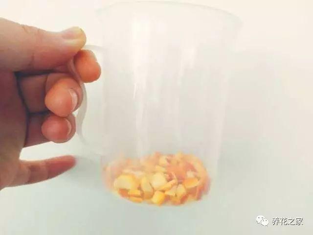 改變花盆土壤酸鹼度的小方法,簡單又實用!
