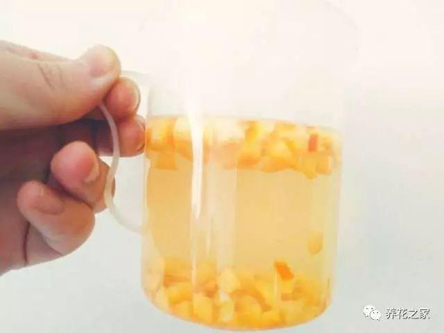 改變花盆土壤酸鹼度的小方法,簡單又實用!