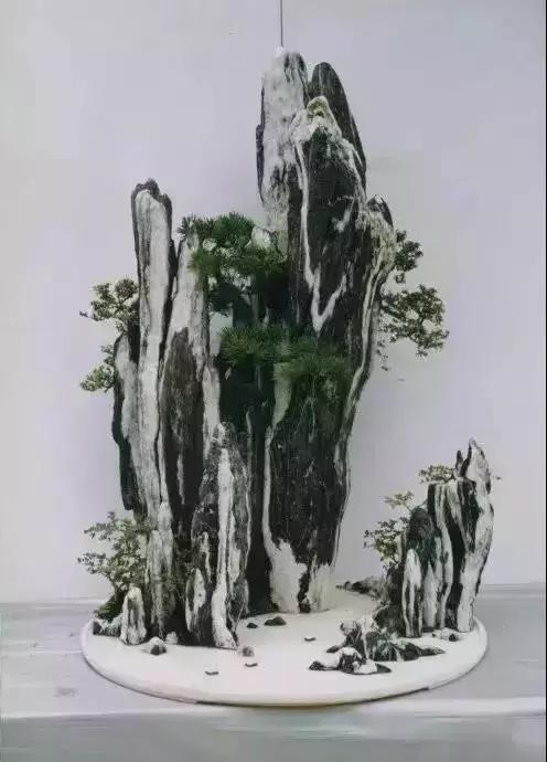 這些盆栽比一座房子都貴,看到的都有眼福了