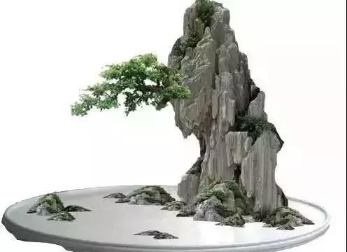 這些盆栽比一座房子都貴,看到的都有眼福了