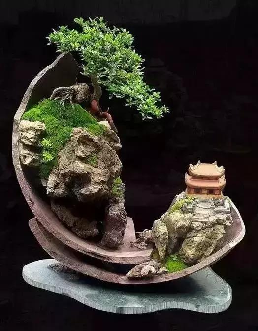 這些盆栽比一座房子都貴,看到的都有眼福了