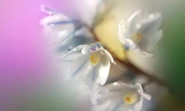 人情薄如紙,人心渾如泥