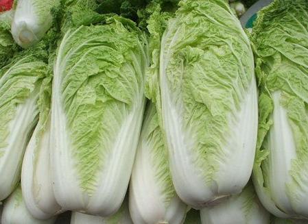 冬吃白菜有禁忌九大禁忌!