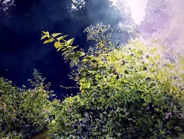 留一份沉默給自己