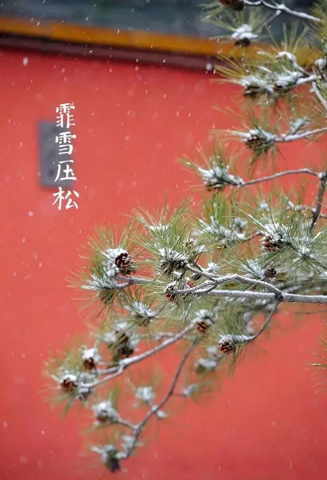 小雪詩詞丨滿城樓觀玉闌干，小雪晴時不共寒