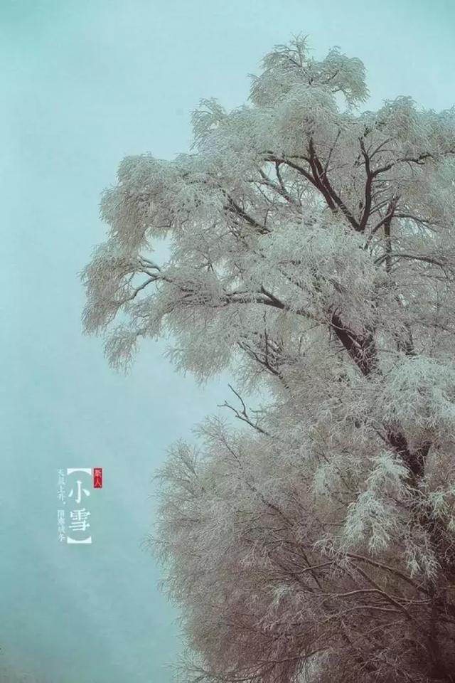 小雪詩詞丨滿城樓觀玉闌干，小雪晴時不共寒