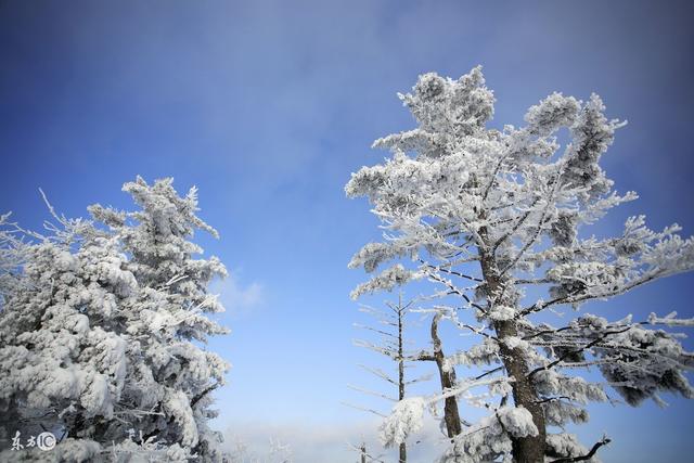 賞雪、賞梅、吟詩、詩中有畫，其中趣味，細細品，別有一番神韻