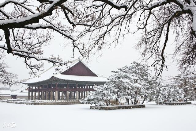 賞雪、賞梅、吟詩、詩中有畫，其中趣味，細細品，別有一番神韻