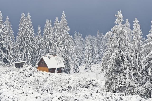 賞雪、賞梅、吟詩、詩中有畫，其中趣味，細細品，別有一番神韻