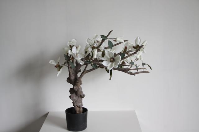 軟裝|仿真花真的好麼?