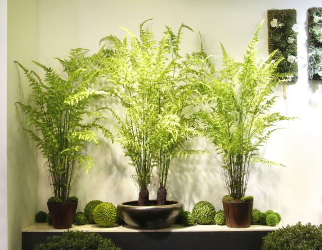 軟裝|仿真花真的好麼?