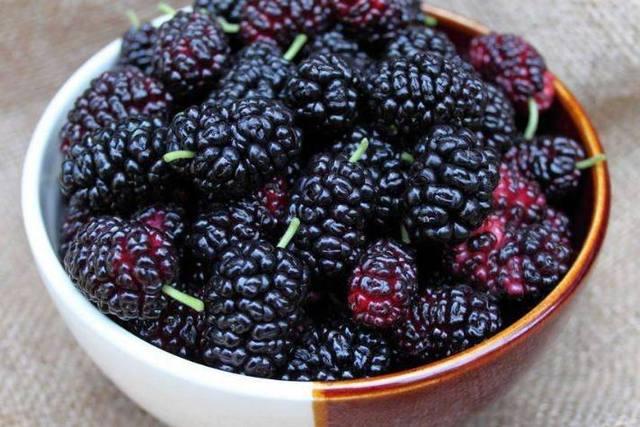 十個男人九個虛,每天吃一口它們,補腎又壯陽,保護腎臟