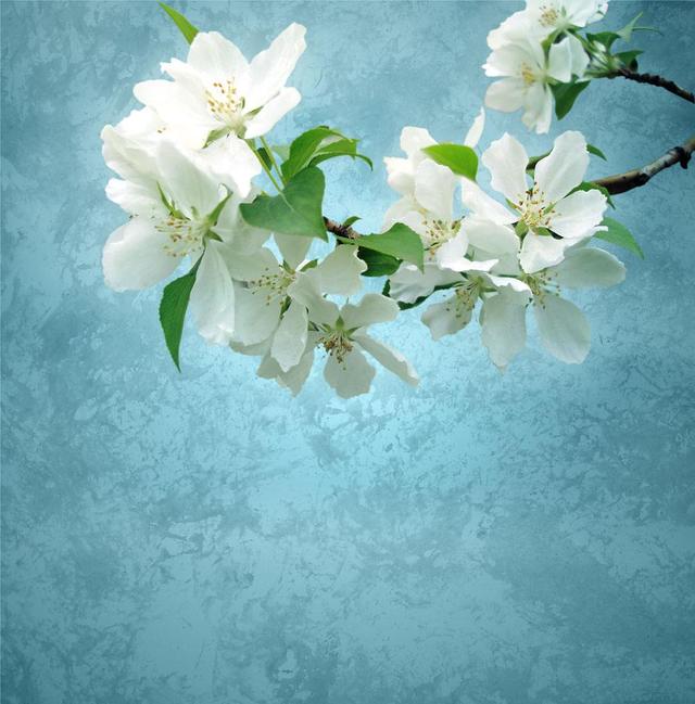 人世涼薄,懂得最美