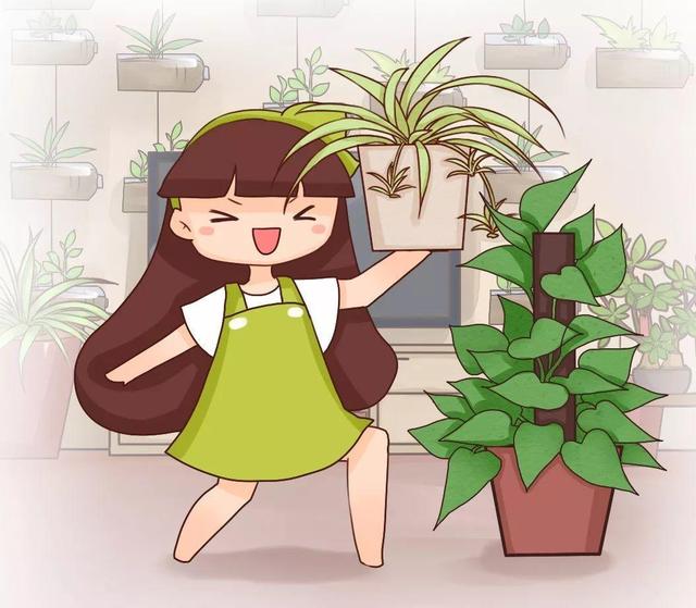 不用漚肥不用換盆,只在花盆邊挖個小洞,就能讓花蹭蹭長!