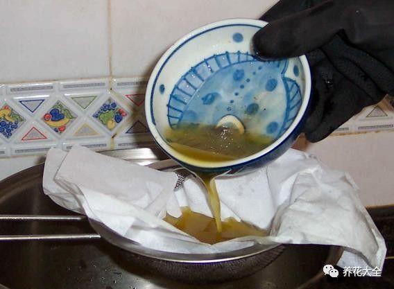 不用漚肥不用換盆,只在花盆邊挖個小洞,就能讓花蹭蹭長!