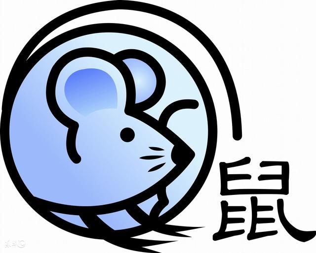 屬鼠人按出生年、月、日、時四柱,命局性格查詢!