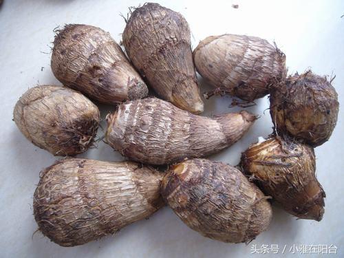 這幾種水果籽兒泡水里,一周就發芽生根,長成最美小盆栽!