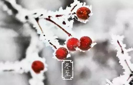 養生最重要的81天來了! 錯過要等下一年