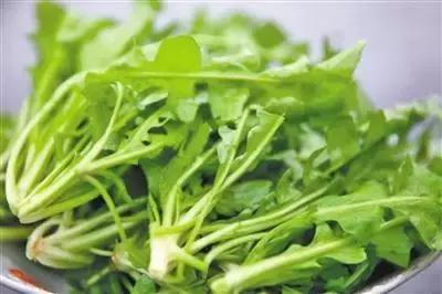 養生最重要的81天來了! 錯過要等下一年