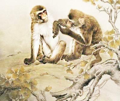 12生肖誰的人品最佳？ 前3名生肖人好命更好，明年將發財！