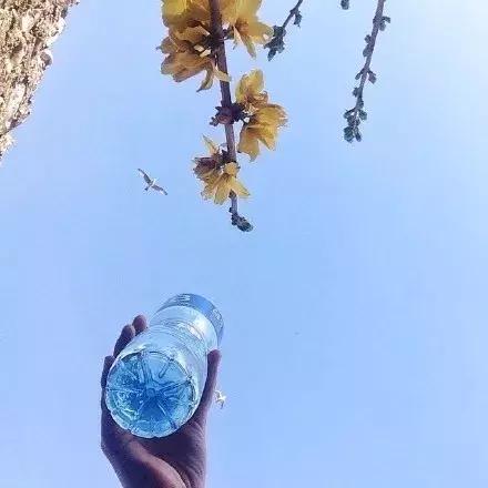 一個不欣賞自己的人，是難以快樂的