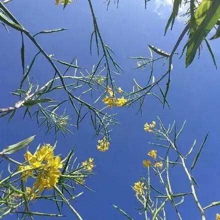 一個不欣賞自己的人，是難以快樂的