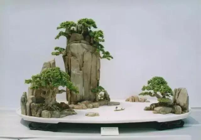 世界上又一奢侈品《盆栽》一盆就是一座房子!