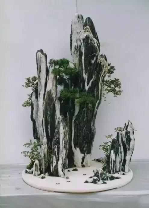 世界上又一奢侈品《盆栽》一盆就是一座房子!