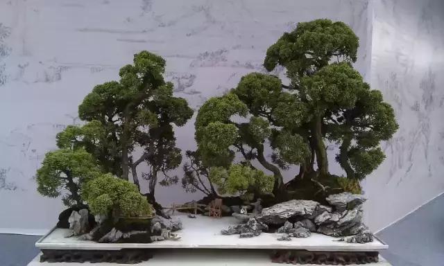 世界上又一奢侈品《盆栽》一盆就是一座房子!