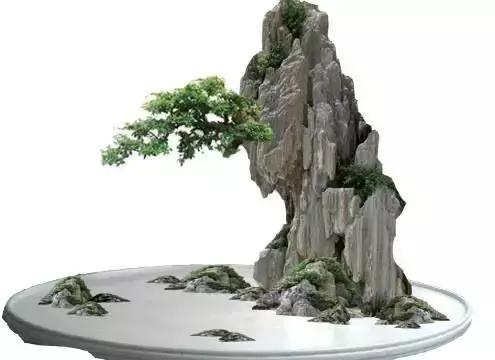 世界上又一奢侈品《盆栽》一盆就是一座房子!