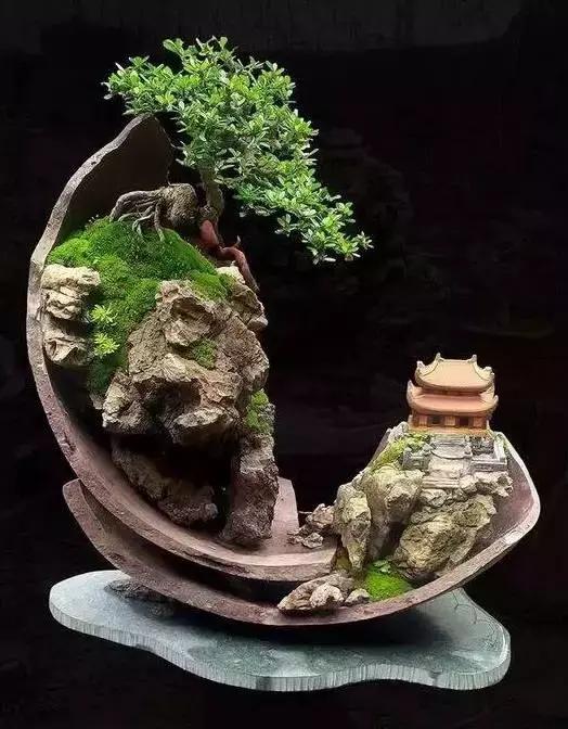 世界上又一奢侈品《盆栽》一盆就是一座房子!