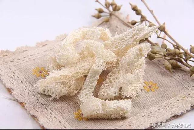 花盆裡加點這個,10年不用換盆,花兒越開越旺