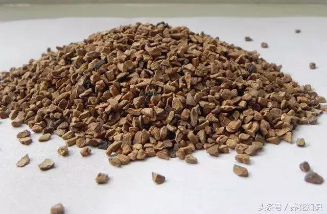花盆裡加點這個,10年不用換盆,花兒越開越旺