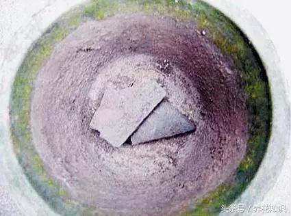 花盆裡加點這個,10年不用換盆,花兒越開越旺