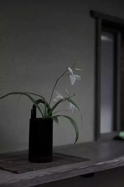 禪花與茶花