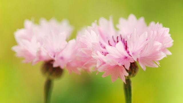 勤儉能生財寬容能聚氣