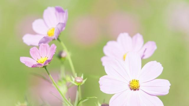 勤儉能生財寬容能聚氣