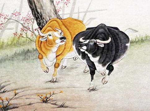 世上只有爹媽好! 12生肖中最大的孝子是誰? 財神最愛也是他!
