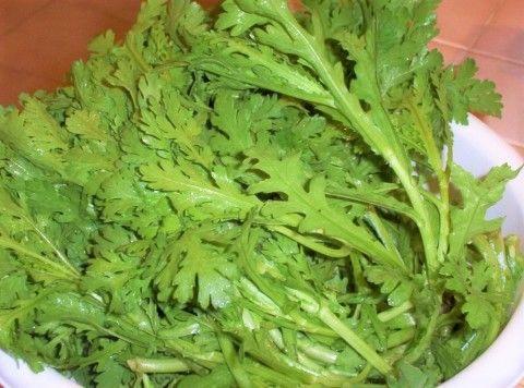 你天天吃的東西,一開花賽過牡丹月季,早知道誰還養花!