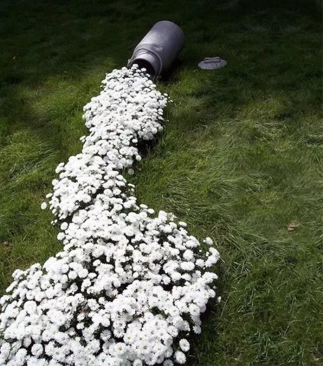 熊孩子打翻了家裡的花盆,沒想到一段時間沒管,鮮花都流了一地!