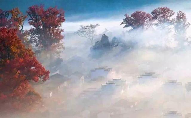 生活:殘缺也是一種完美