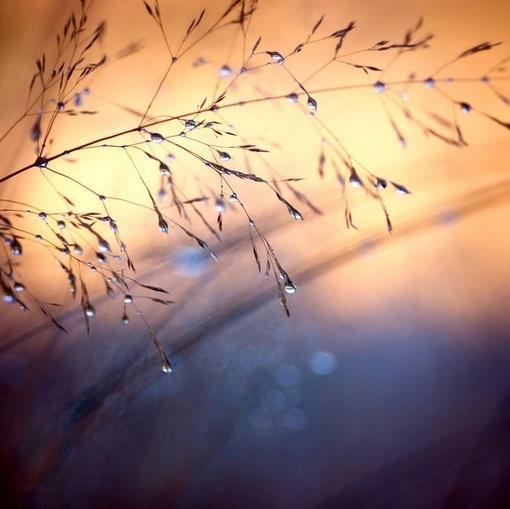 當我老了，還有谁愿意伴陪我？ （讀完流淚）