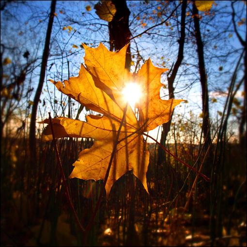 當我老了，還有谁愿意伴陪我？ （讀完流淚）