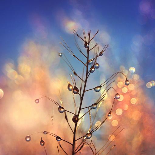 當我老了，還有谁愿意伴陪我？ （讀完流淚）