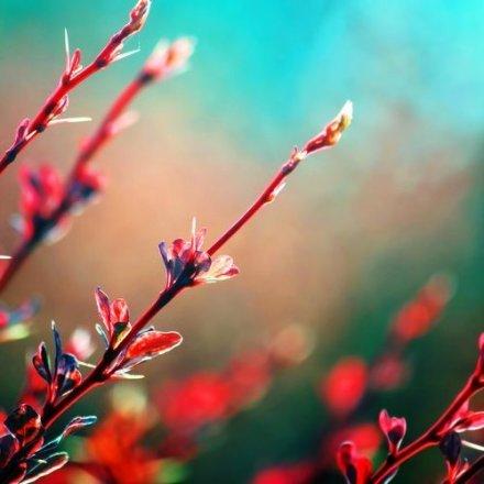 當我老了，還有谁愿意伴陪我？ （讀完流淚）