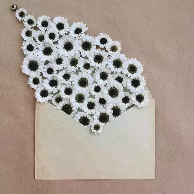 最美情書，只需三句就夠了