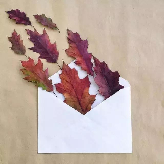最美情書，只需三句就夠了